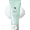 Beauty of Joseon Green Plum Refreshing Cleanser 100ml