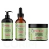 Routine Fortifiante Rosemary Mint - Mielle Organics