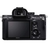 ⁦Sony Alpha A7 III Full-Frame Mirrorless (Body Only)⁩ - الصورة ⁦5⁩