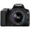 Canon EOS 250D DSLR Camera + 18-55mm Lens
