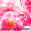 ⁦Miss Dior Rose N' Roses by Christian Dior - For Her - Eau de Toilette, 50 ml⁩ - الصورة ⁦3⁩