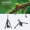 ⁦Neewer 72-inch Tripod + Ball Head for DSLR & Video⁩ - الصورة ⁦4⁩