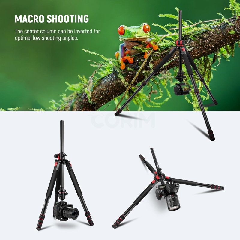 ⁦Neewer 72-inch Tripod + Ball Head for DSLR & Video⁩ - الصورة ⁦4⁩