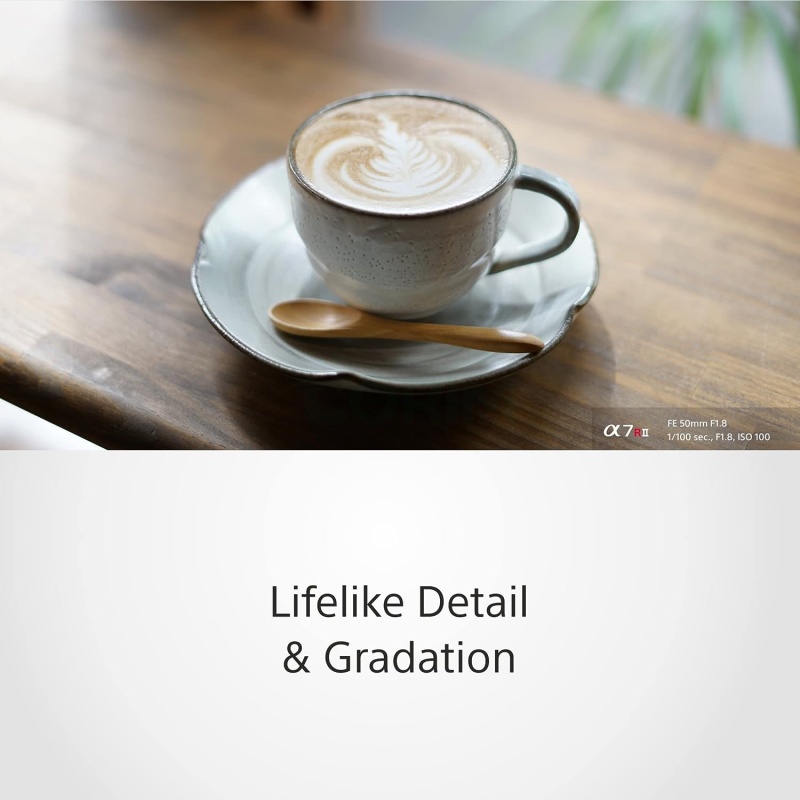 ⁦Sony FE 50mm f/1.8 E-Mount Lens⁩ - الصورة ⁦3⁩