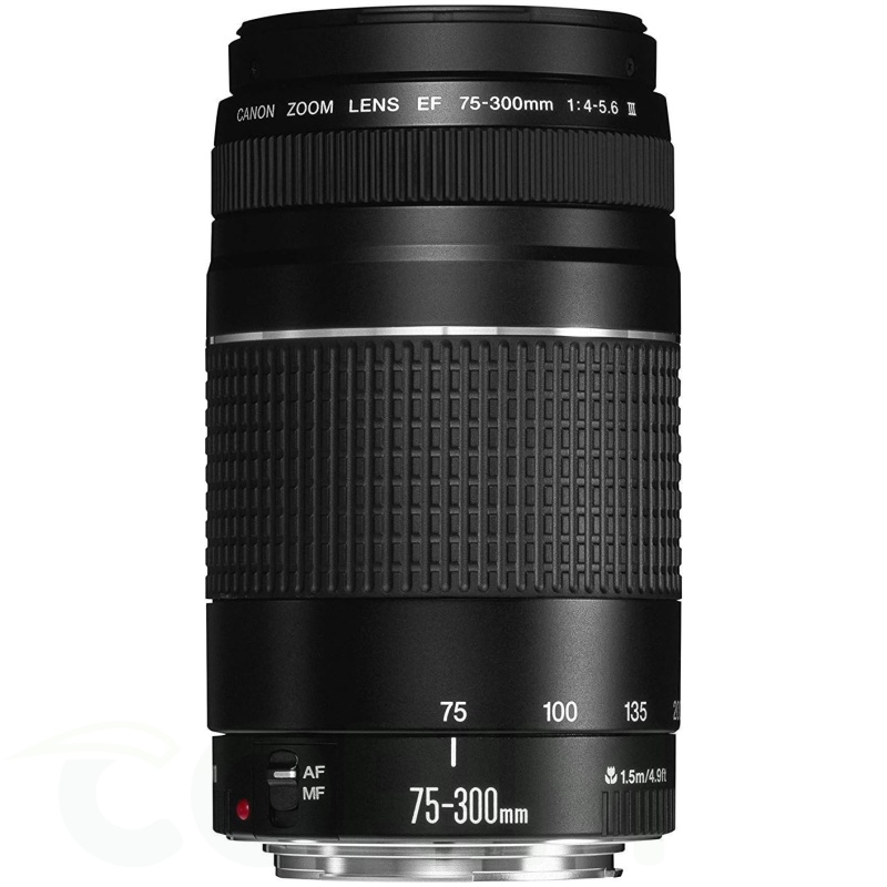 Canon EF 75-300mm f/4-5.6 III Zoom Lens