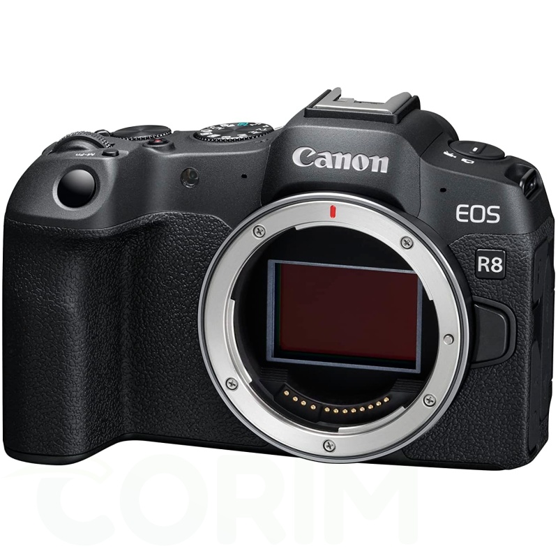 Canon EOS R8 Full-Frame Mirrorless (Body Only)