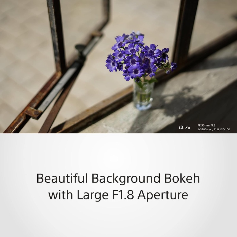 ⁦Sony FE 50mm f/1.8 E-Mount Lens⁩ - الصورة ⁦4⁩