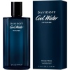 ⁦Davidoff Cool Water Intense Perfume - For Him - Eau De Parfum 125ML⁩ - الصورة ⁦5⁩