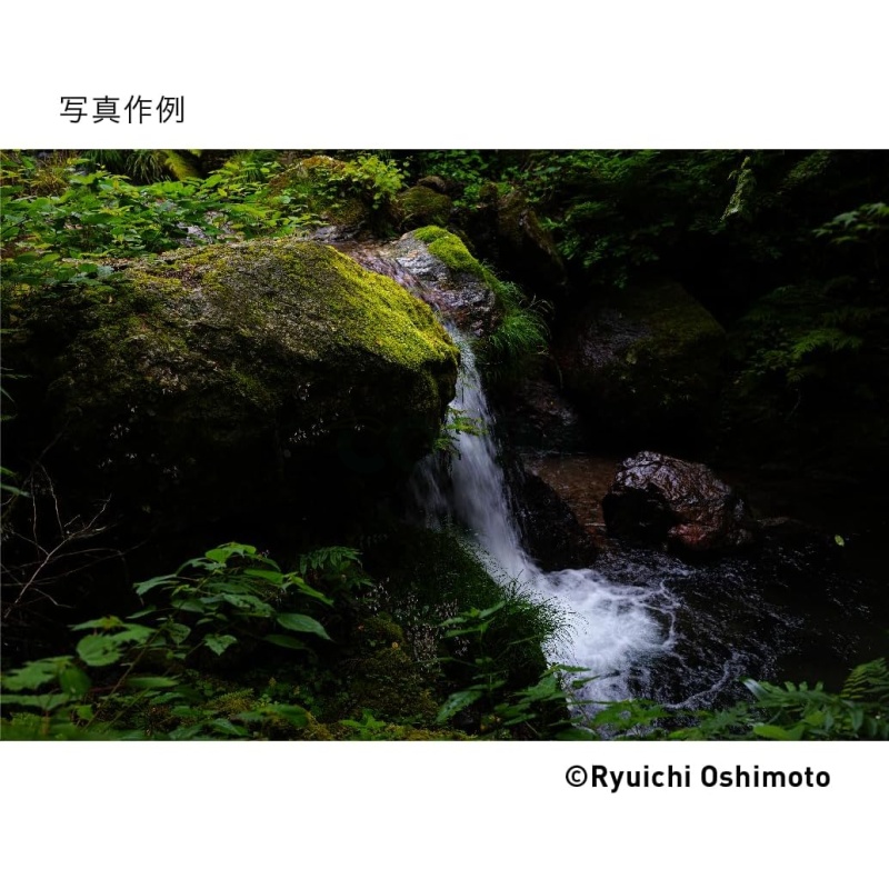 ⁦Sigma 28-70mm f/2.8 DG DN for Sony E-Mount⁩ - الصورة ⁦5⁩
