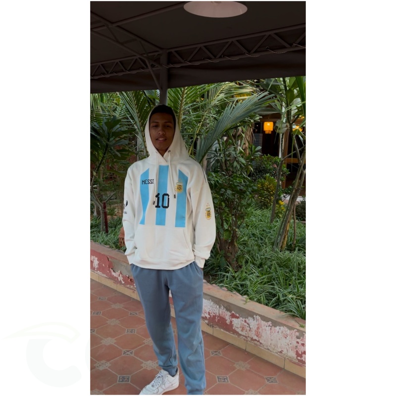 hoodie meesi